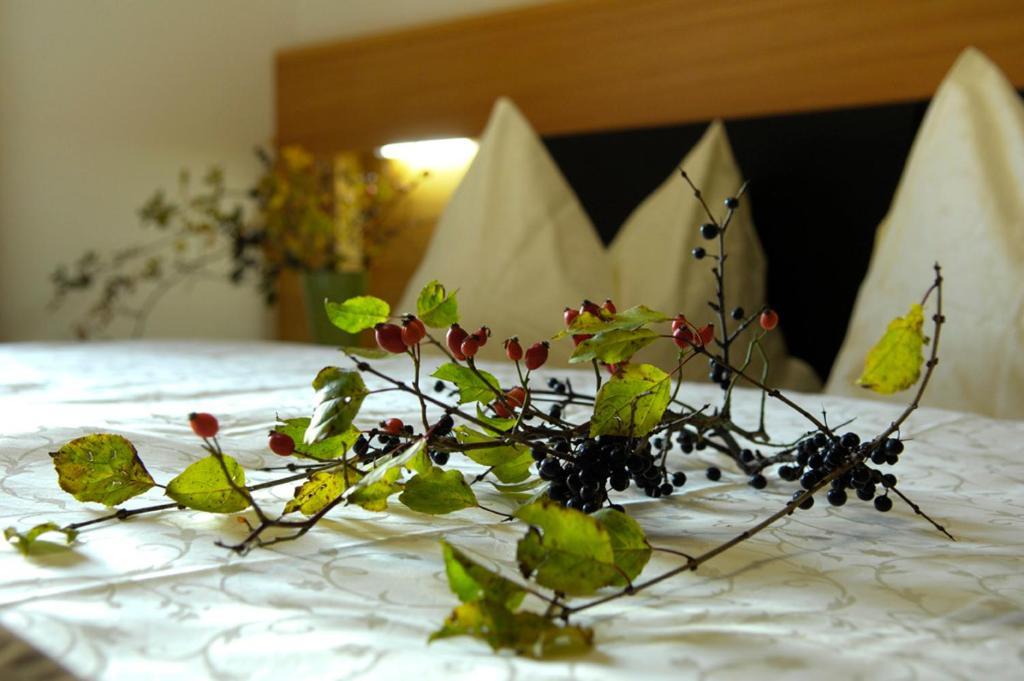 Villa Tilia Siusi Quarto foto